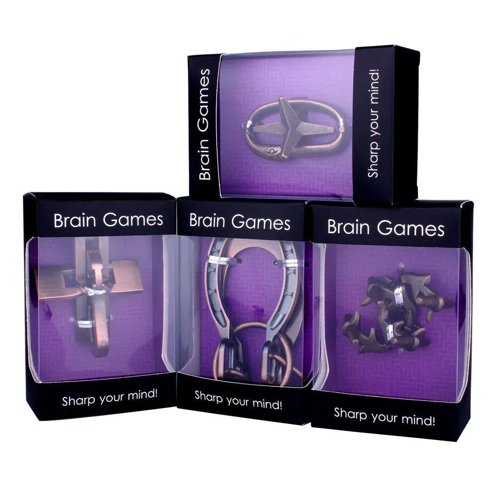 3D Metal Brain Teaser Puzzle