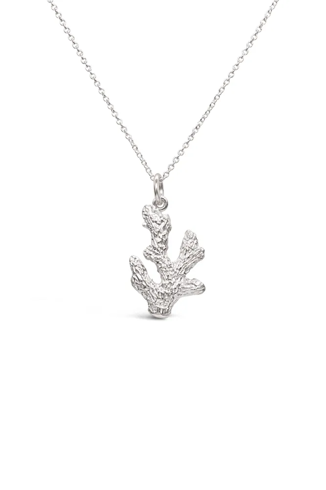 Icons ~ Coral Branch